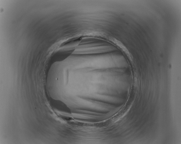 X0000084600577200703091931