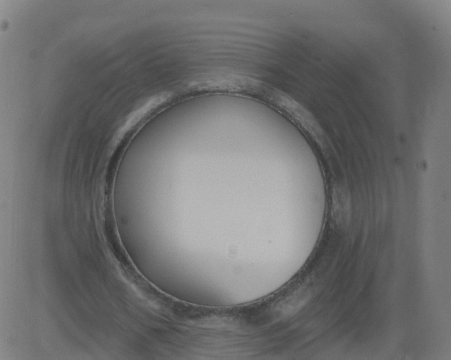 X0000084600578200703091931