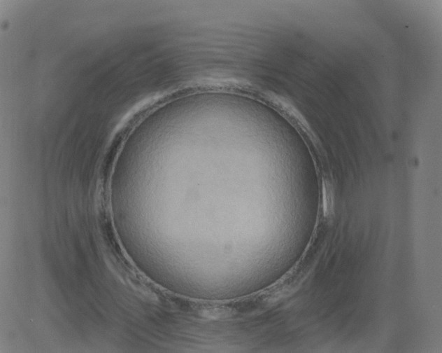 X0000084600579200703091931