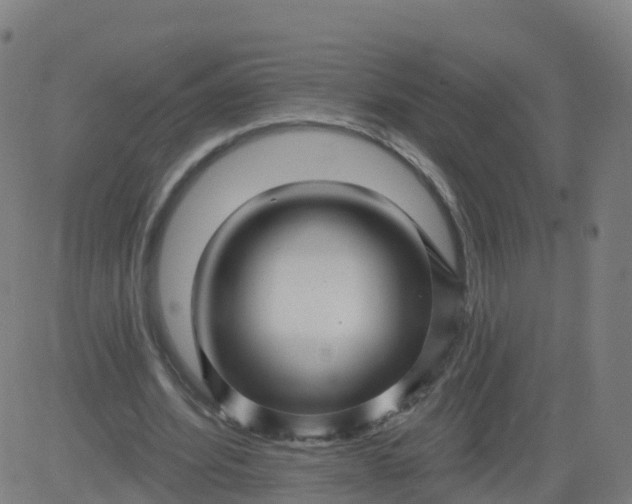 X0000084600580200703091931