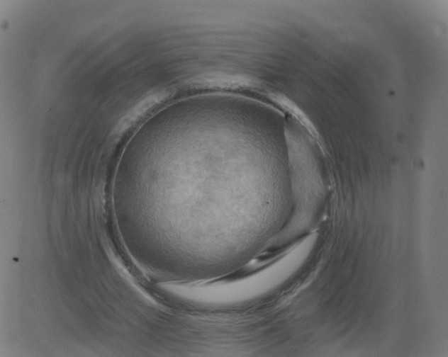 X0000084600581200703091931