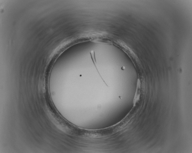 X0000084600582200703091931