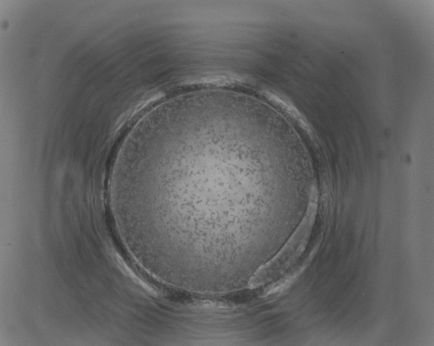 X0000084600585200703091931