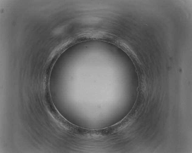 X0000084600586200703091931