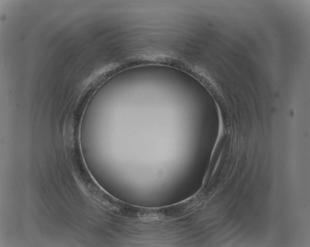 X0000084600587200703091931