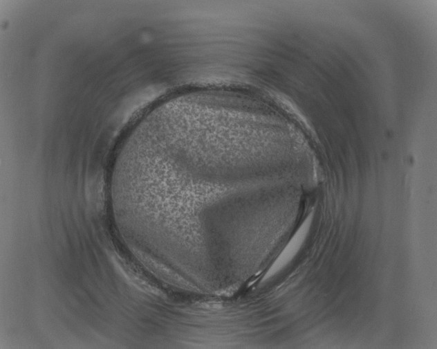 X0000084600588200703091931