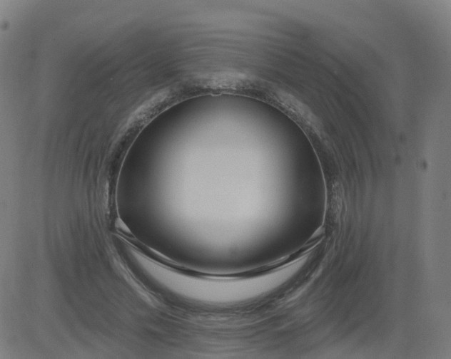 X0000084600589200703091931