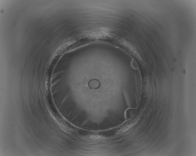 X0000084600590200703091931