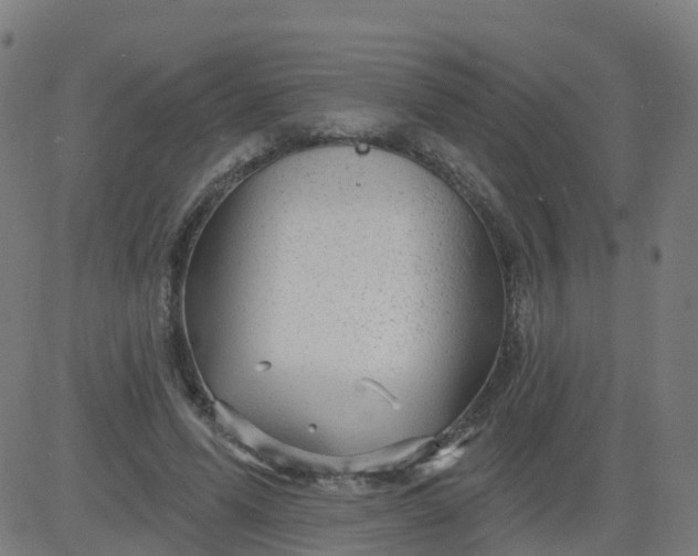 X0000084600591200703091931