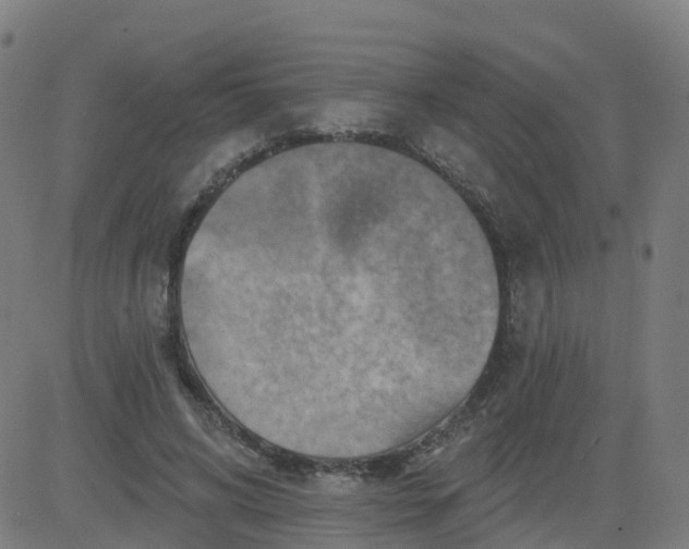 X0000084600592200703091931