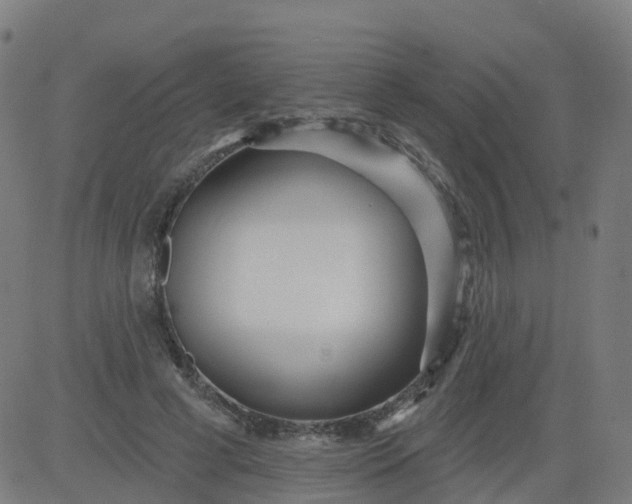 X0000084600593200703091931