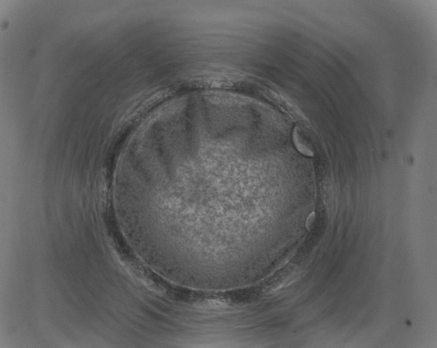 X0000084600594200703091931