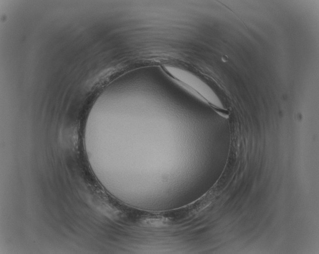 X0000084600595200703091931