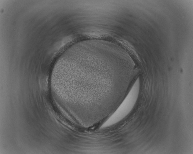 X0000084600596200703091931