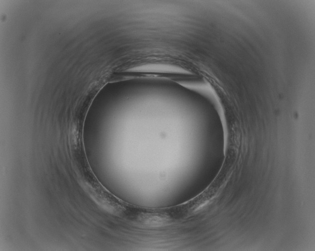 X0000084600597200703091931