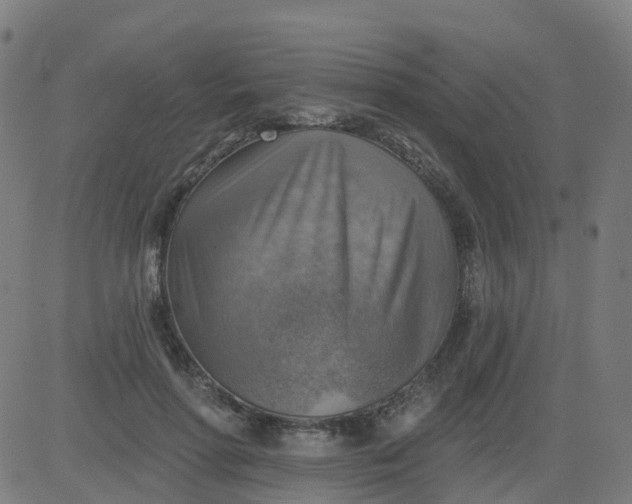 X0000084600598200703091931