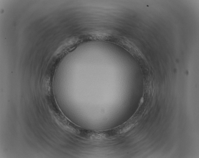 X0000084600599200703091931