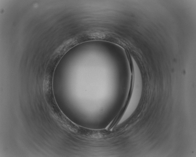 X0000084600600200703091931