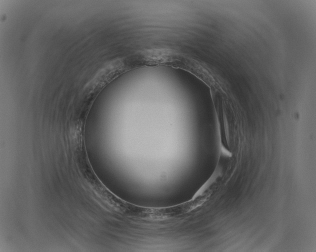 X0000084600601200703091931