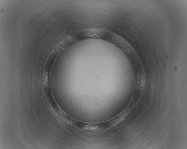 X0000084600602200703091931