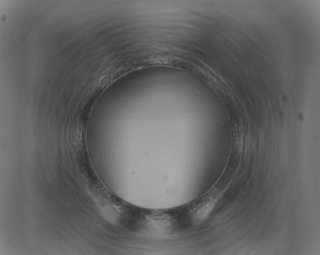 X0000084600603200703091931