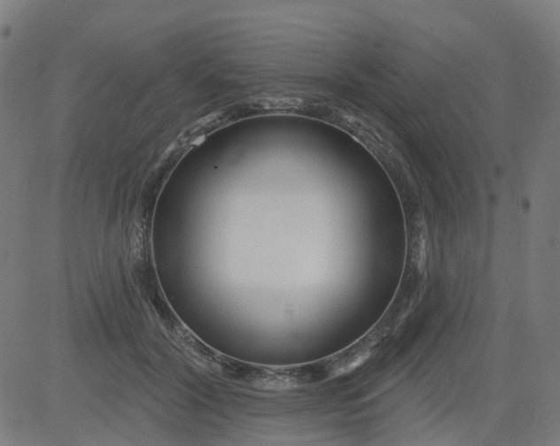 X0000084600604200703091931