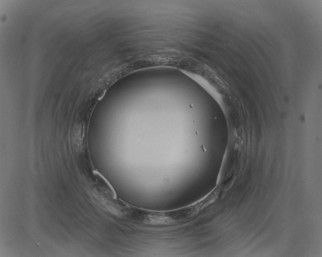 X0000084600605200703091931