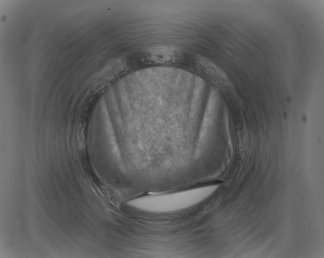 X0000084600606200703091931