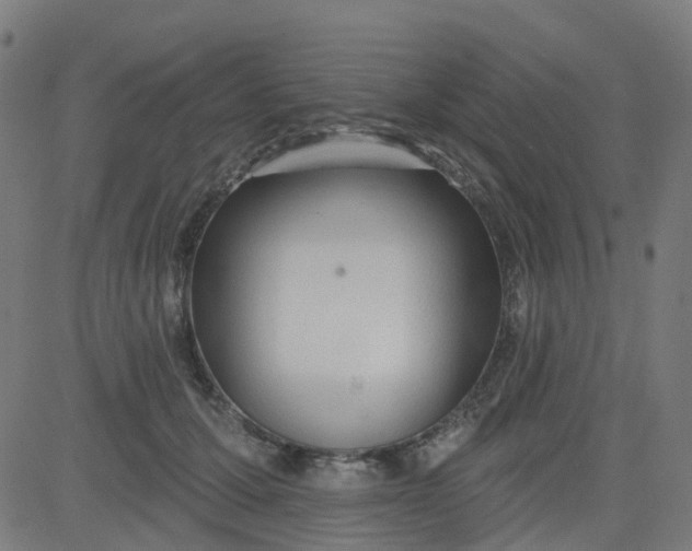 X0000084600607200703091930