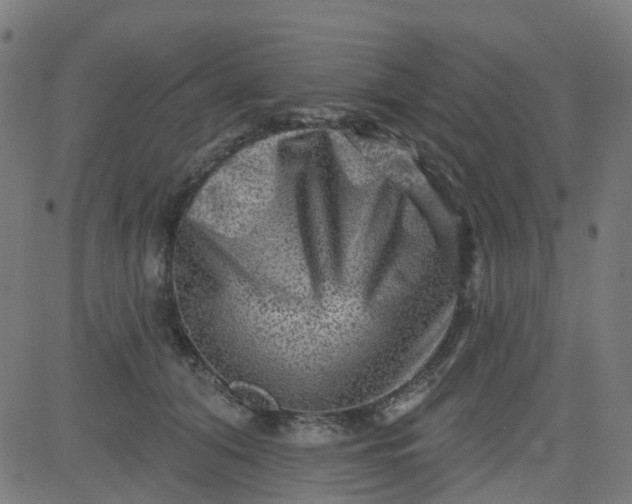 X0000084600608200703091930