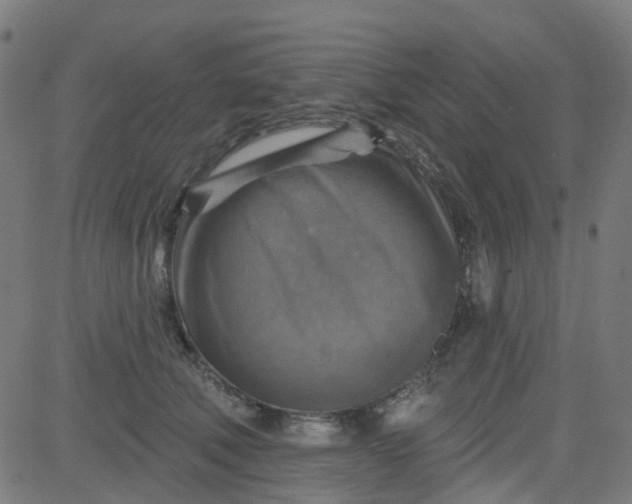 X0000084600610200703091930