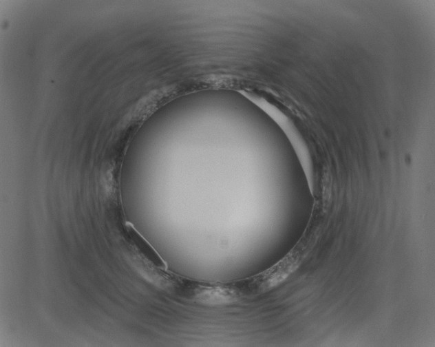 X0000084600611200703091930