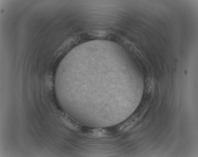 X0000084600612200703091930