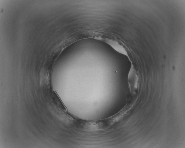 X0000084600613200703091930