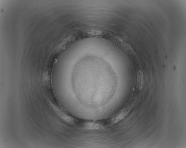 X0000084600614200703091930