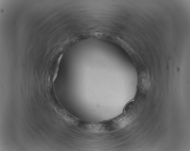 X0000084600615200703091930