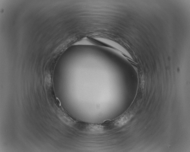 X0000084600617200703091930