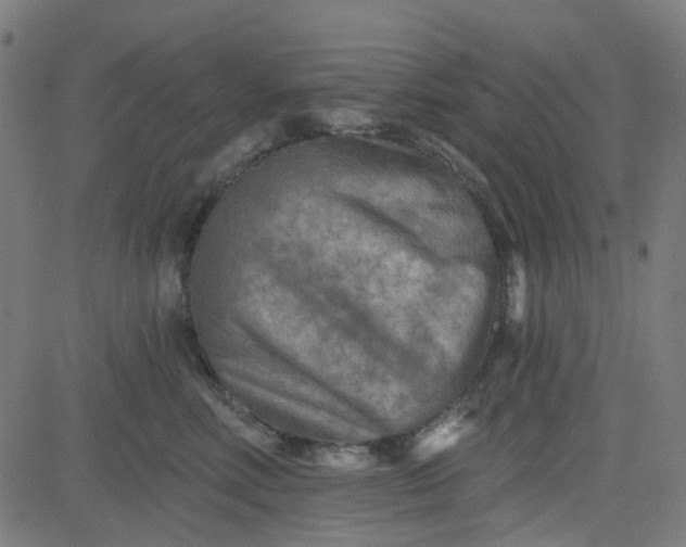 X0000084600618200703091930