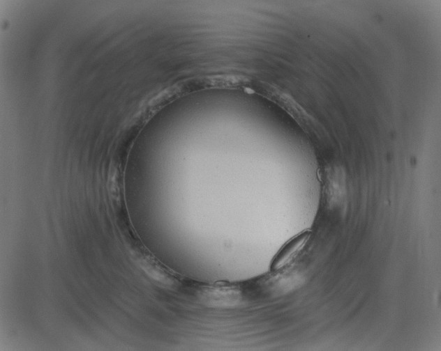 X0000084600619200703091930