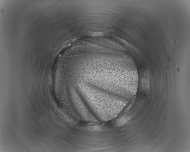 X0000084600620200703091930