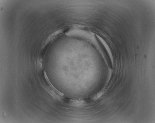 X0000084600621200703091930