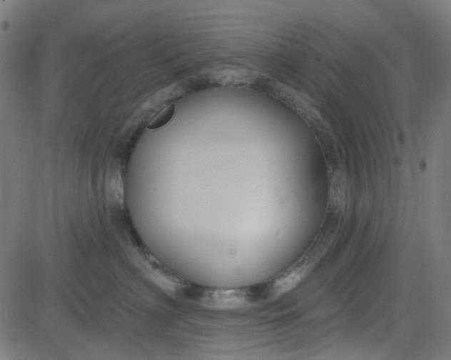 X0000084600622200703091930