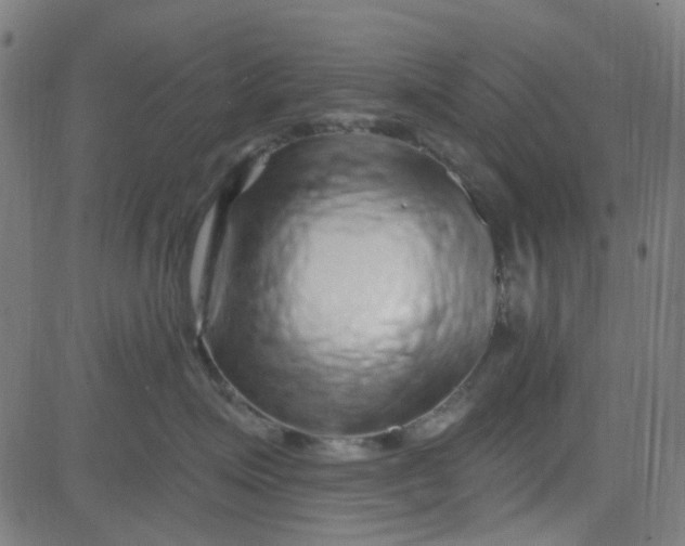 X0000084600623200703091930