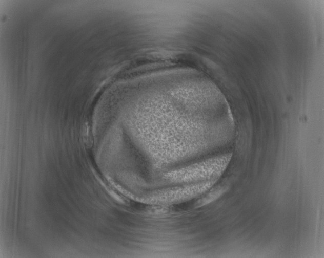 X0000084600624200703091930