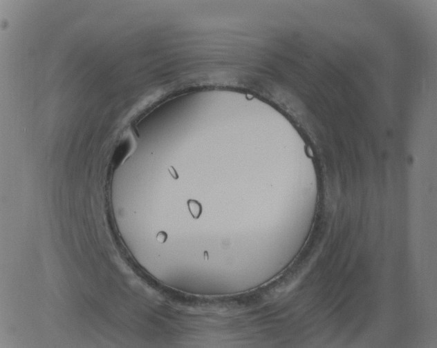 X0000084600625200703091929