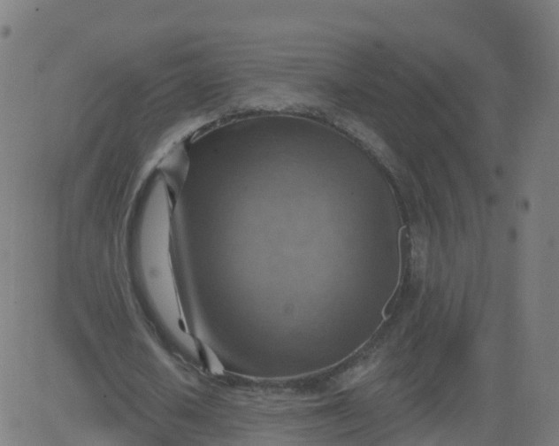 X0000084600626200703091929