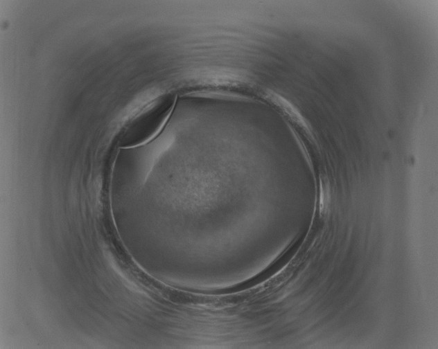 X0000084600627200703091929