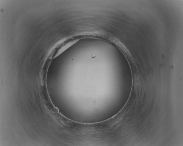 X0000084600628200703091929