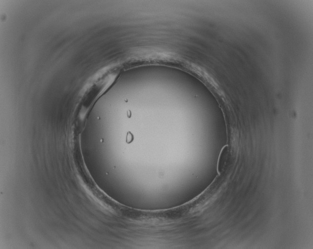 X0000084600629200703091929