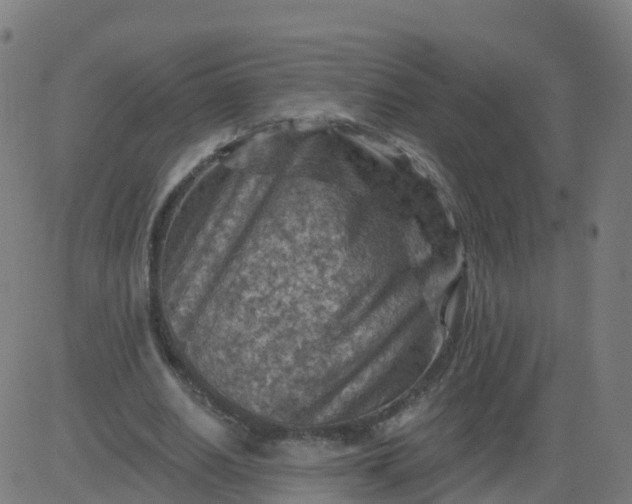 X0000084600630200703091929